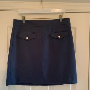 NWOT Steel Blue Button Front Shift Skirt